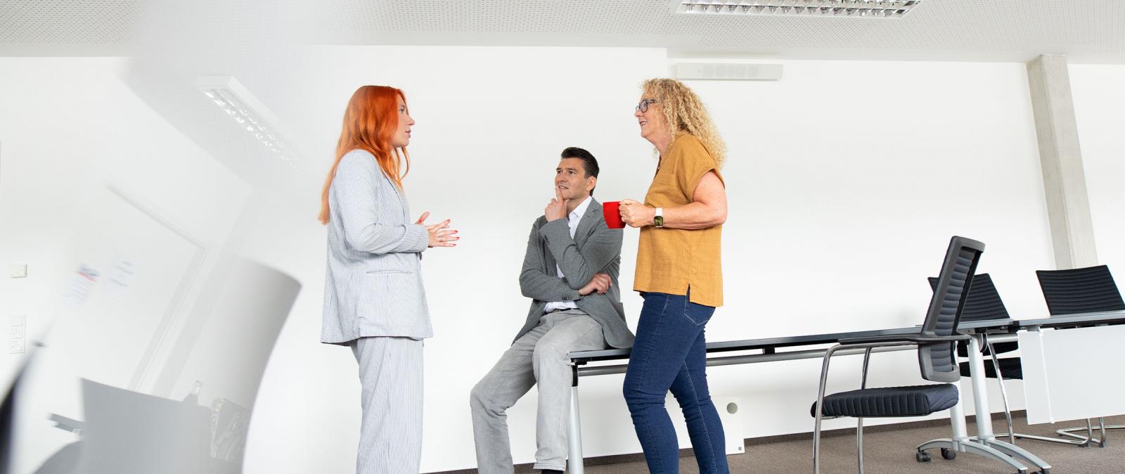 Gesprächssituation in einem Besprechungsraum, zwei Frauen und ein Mann
